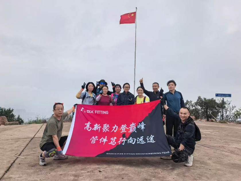 営業チームのハイキングデー: 一緒に登山